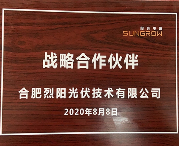 战略合作伙伴